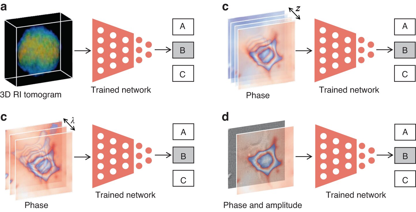 The Hidden Power of Deep Learning: Unlocking Phase Recovery