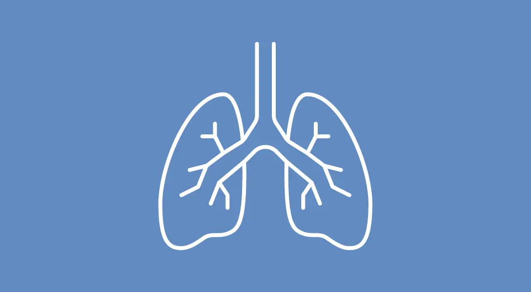 Why Sacituzumab Govitecan Failed to Improve Overall Survival in Pretreated NSCLC Patients