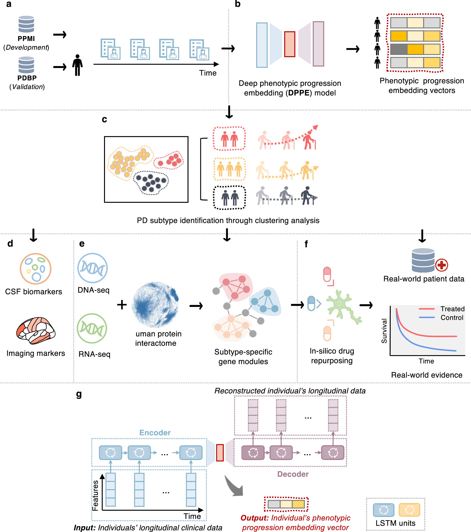 Unlocking New Insights: How Machine Learning Unveils Subtypes of Parkinson’s Disease